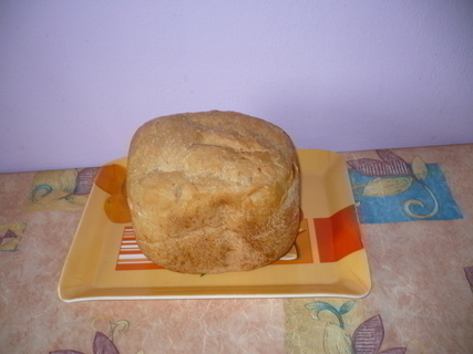 FOTKA - Chleba z domc pekrny