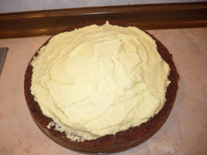 FOTKA - Mj domc krtkv dort