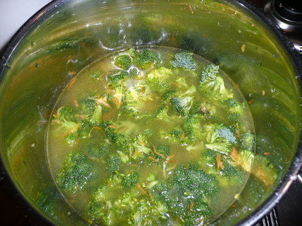 FOTKA - Krmov brokolicov polvka s ovesnmi vlokami