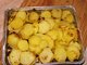 Citronov brambory
