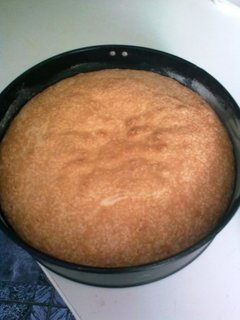 FOTKA - Blkov okov dort