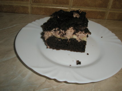 FOTKA - Krtkv dort na plechu