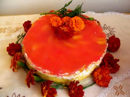 FOTKA - Ovocn dort s tvarohovou elatinou