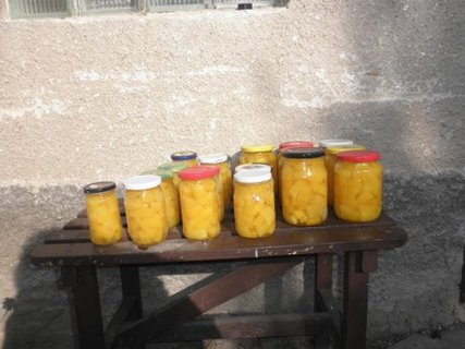 FOTKA - Dov kompot s ananasovou pchut