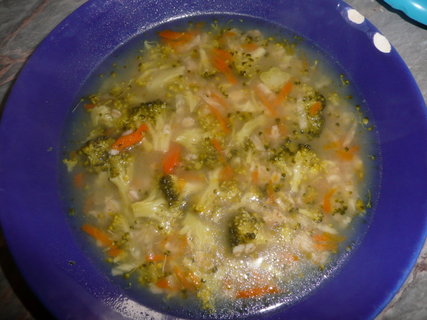 FOTKA - Krmov polvka s brokolic, koenovou zeleninou a brambory