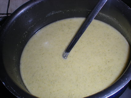 FOTKA - Mln brokolicov polvka