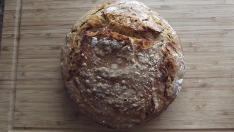 FOTKA - Domc chutn chleba