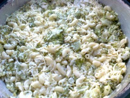 FOTKA - Salt tstovinov s brokolic