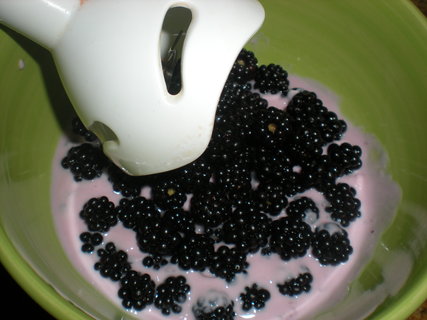 FOTKA - Jogurtov zmrzlina s lesnm ovocem