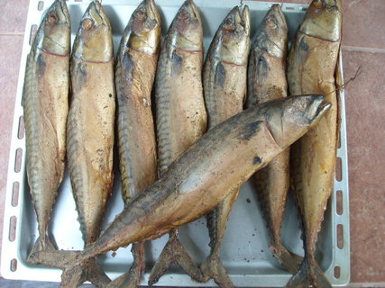 FOTKA - Makrela s cibulkou a erstvm chlebem