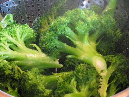 FOTKA - Vaen brokolice nad prou