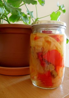 FOTKA - alamda z paprik, cibule a hub