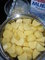 esnekov brambory