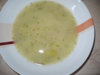 FOTKA - Brokolicov polvka bez zahuovn
