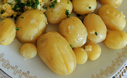 FOTKA - Nov brambory s paitkou