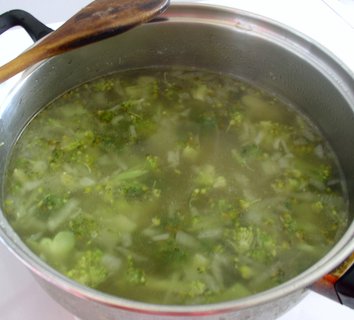 FOTKA - Polvka z brokolice