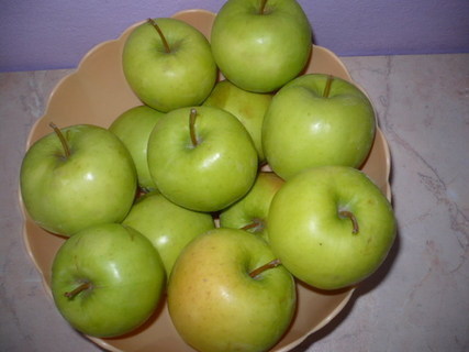 FOTKA - Domc jablen pesndvka
