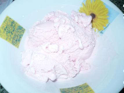 FOTKA - Zmrzlinov pohr s malinami