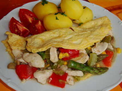FOTKA - Kuec sot se pargl a omeletou