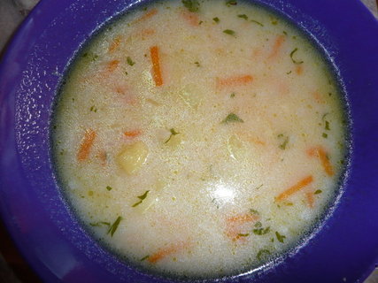 FOTKA - Kvasnicov polvka se zeleninou