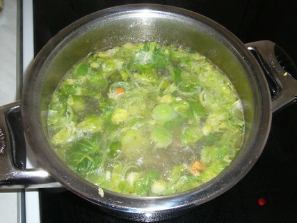 FOTKA - Aromatick zeleninov polvka
