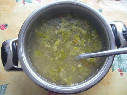 FOTKA - Zeleninov polvka s drobenm a paitkou