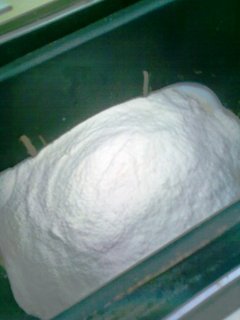 FOTKA - Velikonon mazanec z pekrny