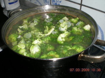 FOTKA - Brokolicov polvka