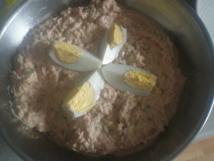 FOTKA - Slon rdlo podle Didiho
