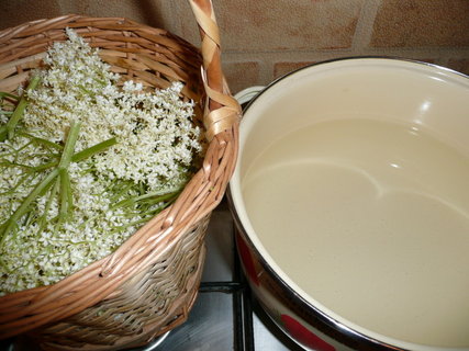 FOTKA - Sirup z �ern�ho bezu