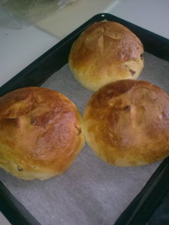 FOTKA - Velikono�n� miniboch�nky