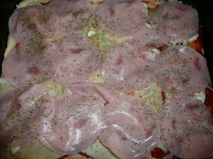 FOTKA - Pizza se unkou a mozzarellou