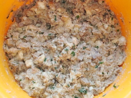 FOTKA - Plnn kuec zvitky 