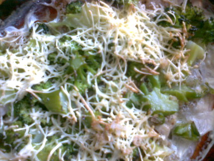 FOTKA - Zapeen brokolice s beamelem a parmaznem