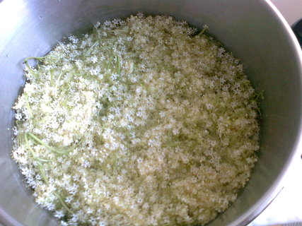 FOTKA - Sirup z kvt ernho bezu