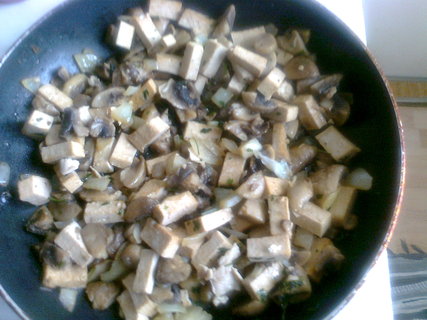 FOTKA - Tofu na houbch