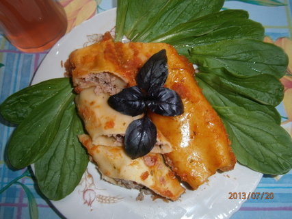 FOTKA - Plnn cannelloni 