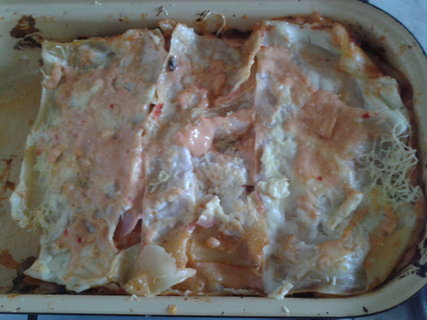 FOTKA - Lasagne se ampiony a rajaty