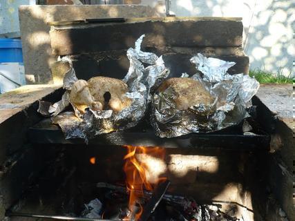 FOTKA - Kue na grilu v alobalu s olivovm olejem