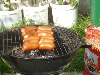 FOTKA - Srov buty na grilu s esnekovou marindou a lesnm medem