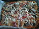 Levn pizza