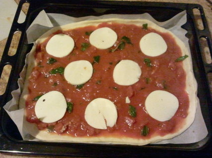 FOTKA - Pizza mozzarella