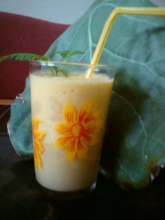 FOTKA - Fruity lassi