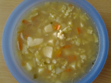 FOTKA - Slepi polvka s tstovinami