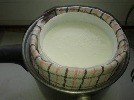 FOTKA - Domc jogurt