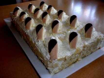 FOTKA - Pikotov dort malakov 