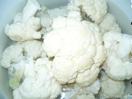 FOTKA - Kvtk s paskou omkou