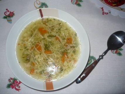 FOTKA - Hovz polvka s nudlemi