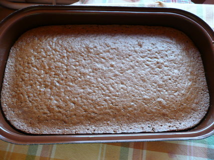 FOTKA - Pi�kot z podm�sl�