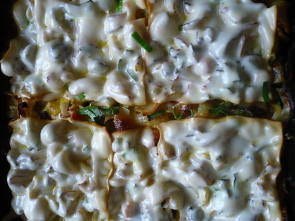 FOTKA - Netradi�n� zap�kan� t�stoviny